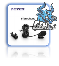 MIRCOPHONE TEYES